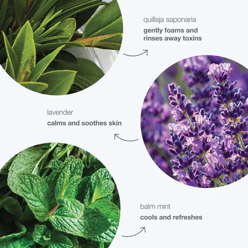 Dermalogica Special Facial Cleansing Gel for Acne & Blemish Prone Skin 250ml