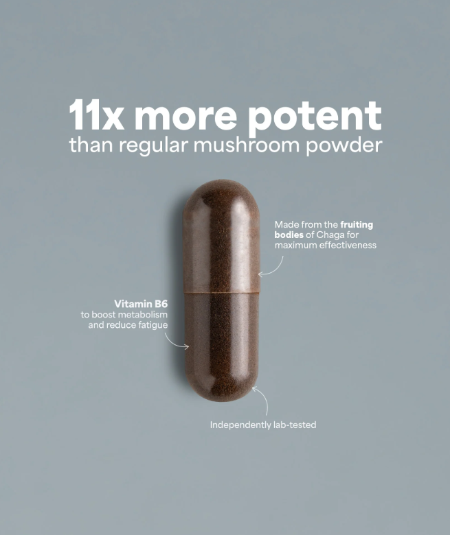 SOOO immune — Chaga Extract 9–11:1