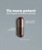 SOOO immune — Chaga Extract 9–11:1
