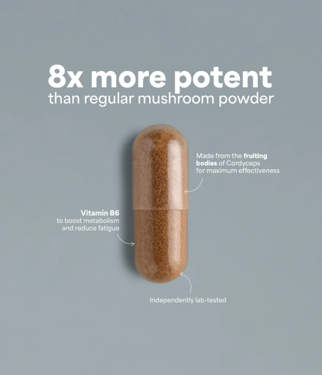 SOOO energetic: Cordyceps extract 6-8:1