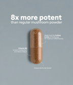 SOOO energetic: Cordyceps extract 6-8:1