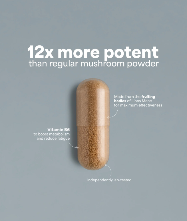 SOOO focused: Lion’s Mane extract 10-12:1
