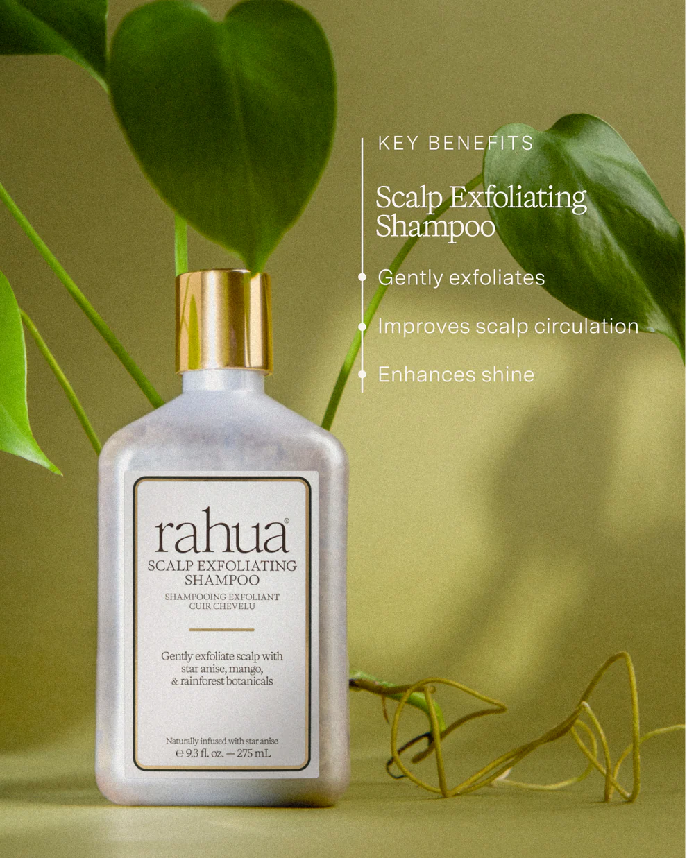 Rahua Scalp Exfoliating Shampoo, 275 ml