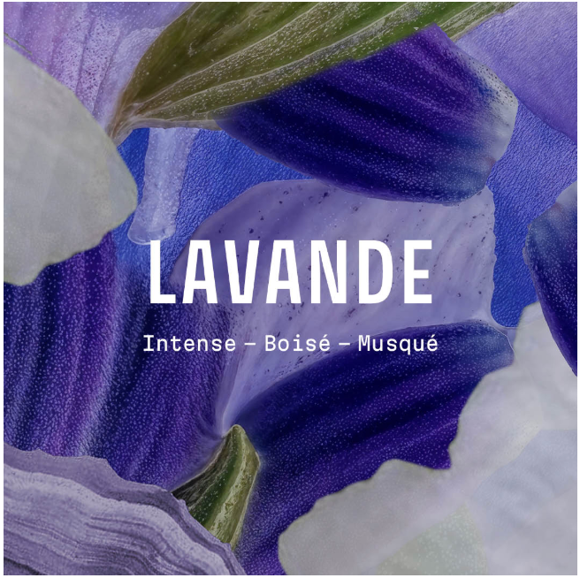 Panier Des Sens Liquid Marseille Soap – Lavender 500ml