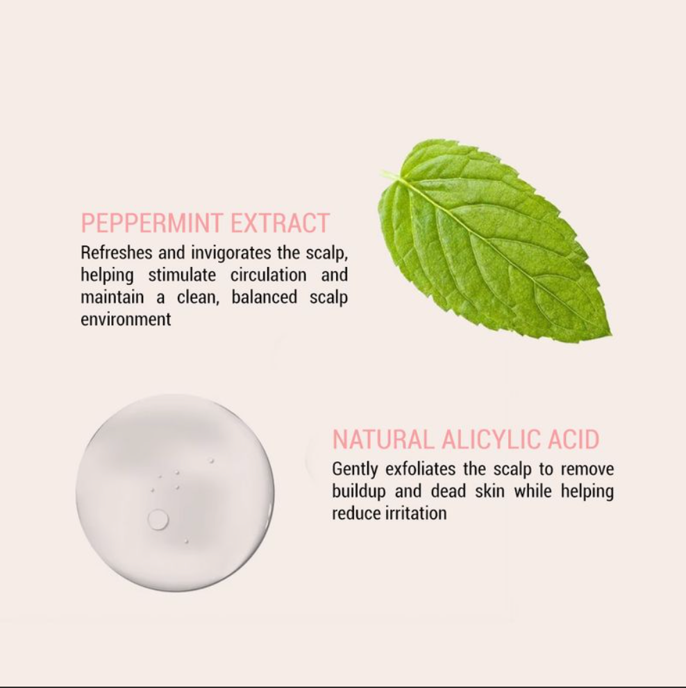 MOREMO Scalp Shampoo Clear and Cool (500ml)