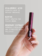 XLASH Xbrow Eyebrow Serum 1.5ML