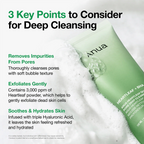 ANUA Heartleaf Quercetinol Pore Deep Cleansing Foam 150ml
