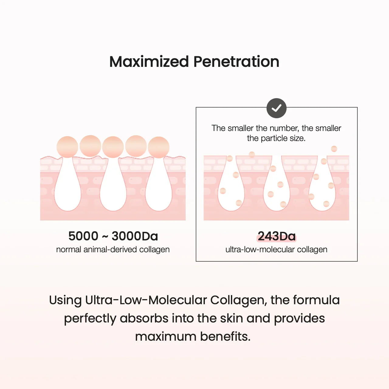 BIODANCE PORE PERFECTING COLLAGEN PEPTIDE CREAM 50ML
