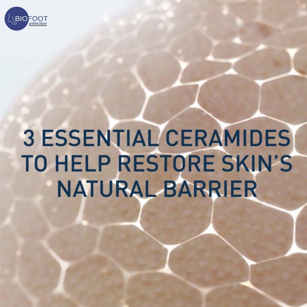 CeraVe Daily Moisturizing Lotion 237 ml